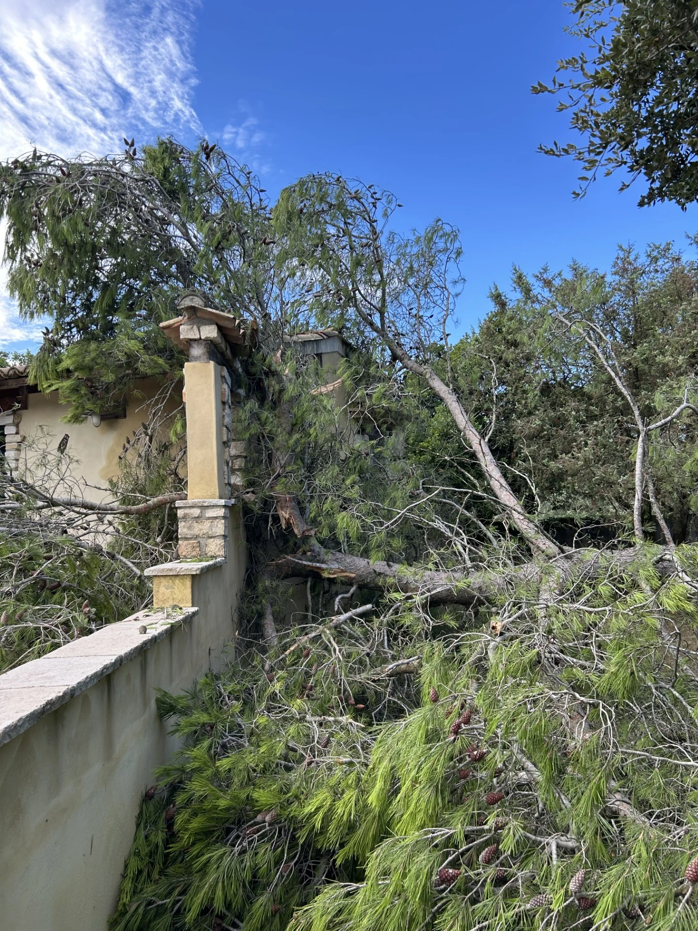 image avant travaux photo 2