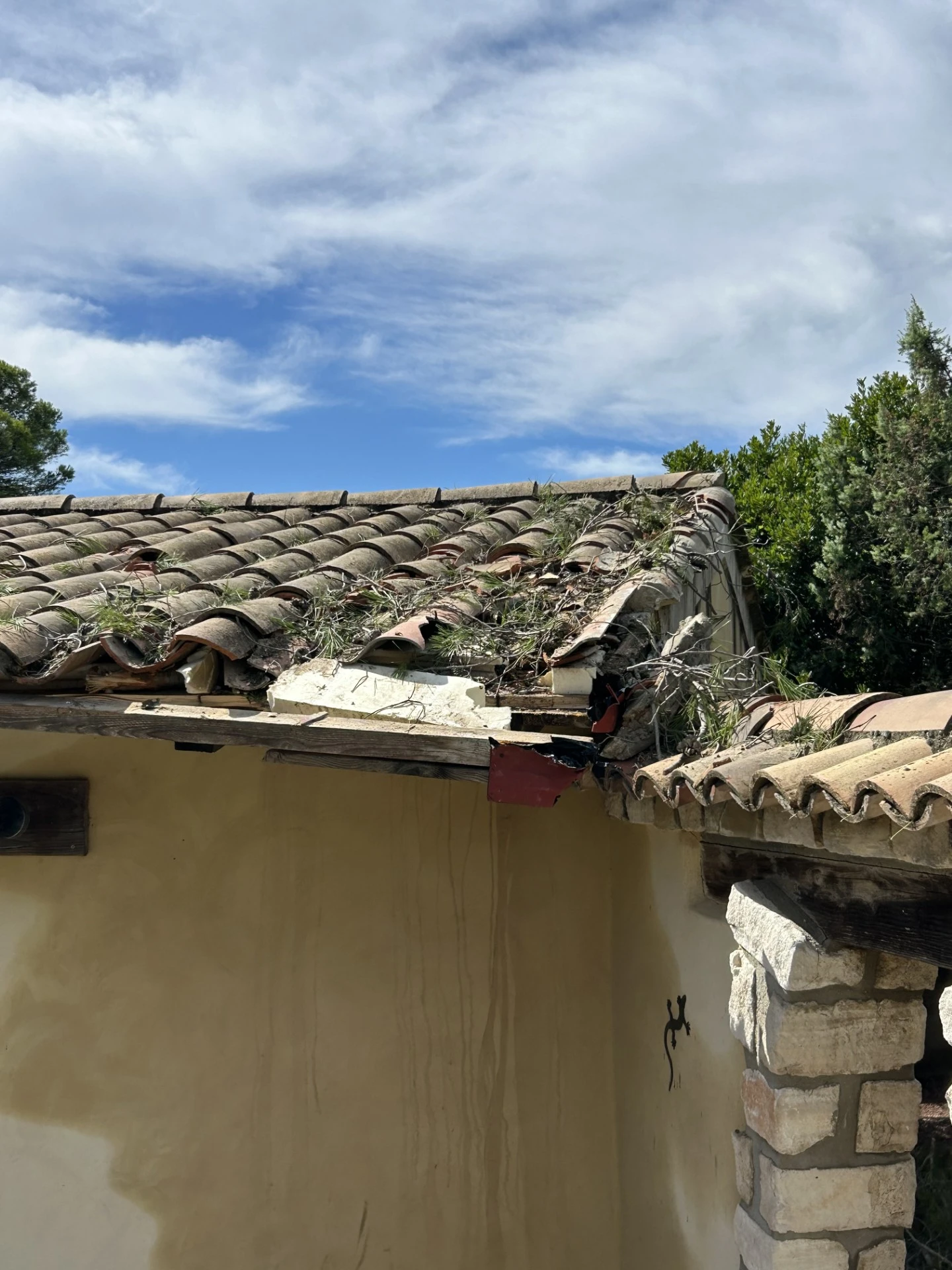 image aprés travaux photo 2